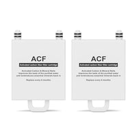 ACF Replacement Filterc*2