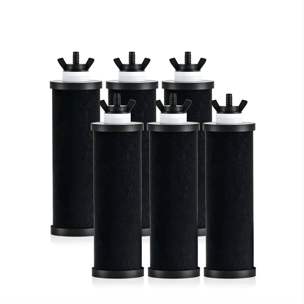 Replacement Black Filter Elements - 6 pcs Purewell