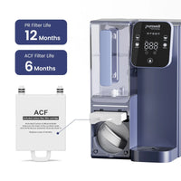 ACF Replacement Filterc*2