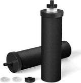 K Series Carbon Filters (Berlkey) Purewell