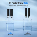K Series Carbon Filters (Berlkey) Purewell