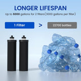 K Series Carbon Filters (Berlkey) Purewell