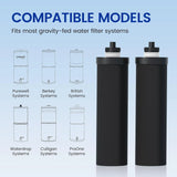K Series Carbon Filters (Berlkey) Purewell