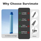 Replacement Blue Filter