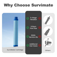 Replacement Blue Filter