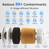 6-Stage Remove PFAS Filter