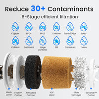 6-Stage Remove PFAS Filter