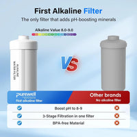 3-Stage Alkaline Filter