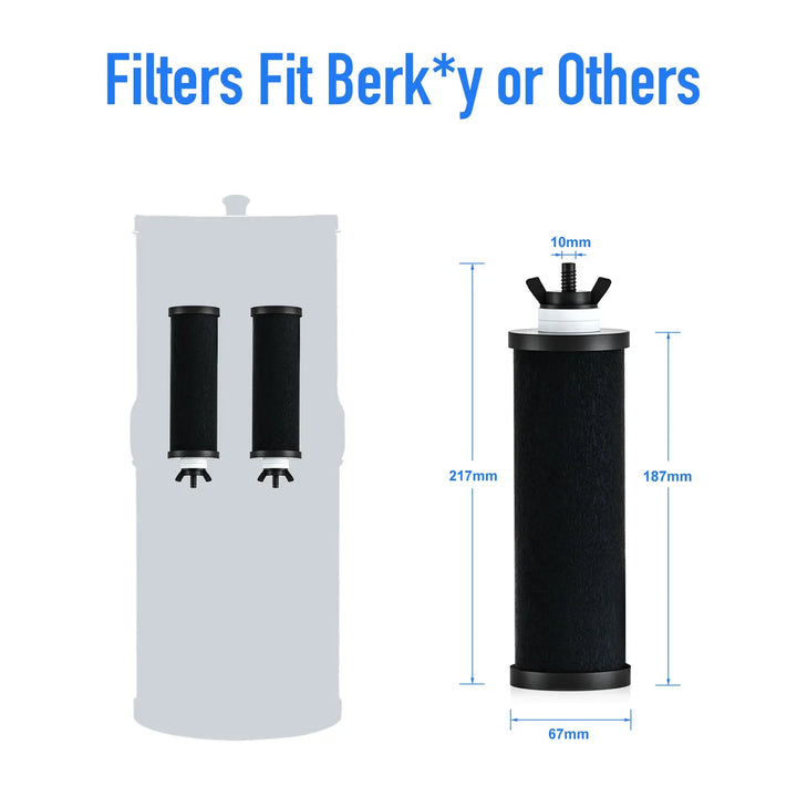 Replacement Black Filter Elements - 2 pcs Purewell